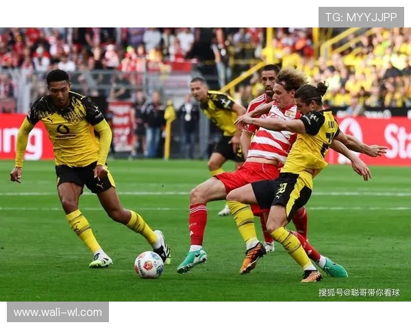 PPTV独家高清呈现德甲联赛全程精彩直播